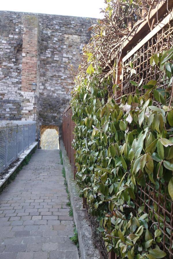 Central- Views - Air Conditioning - Easy Parking -Self Check In Perugia Bagian luar foto